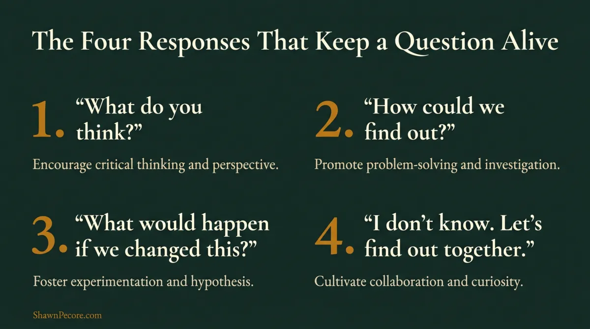 why do kids ask so many questions, four responses that keep a child's scientific curiosity alive